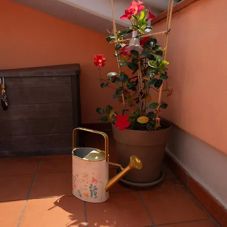 Casa Gioia - Terrazza Panoramica, Bici E Parcheggio Gratuito * 马瑟利