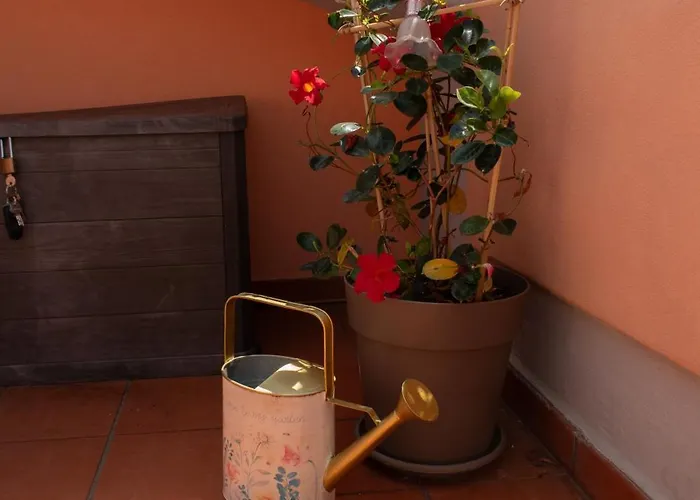 Casa Gioia - Terrazza Panoramica, Bici E Parcheggio Gratuito * Marcelli